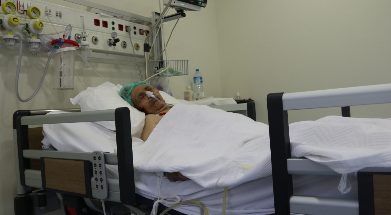 Asırlık çınar virüse karşı yaşam mücadelesini kazandı